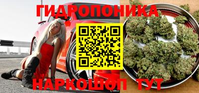 Альфа ПВП Тулун