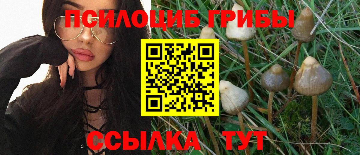 где купить наркоту  Псилоцибиновые грибы мицелий  Вход с VPN  Копейск 